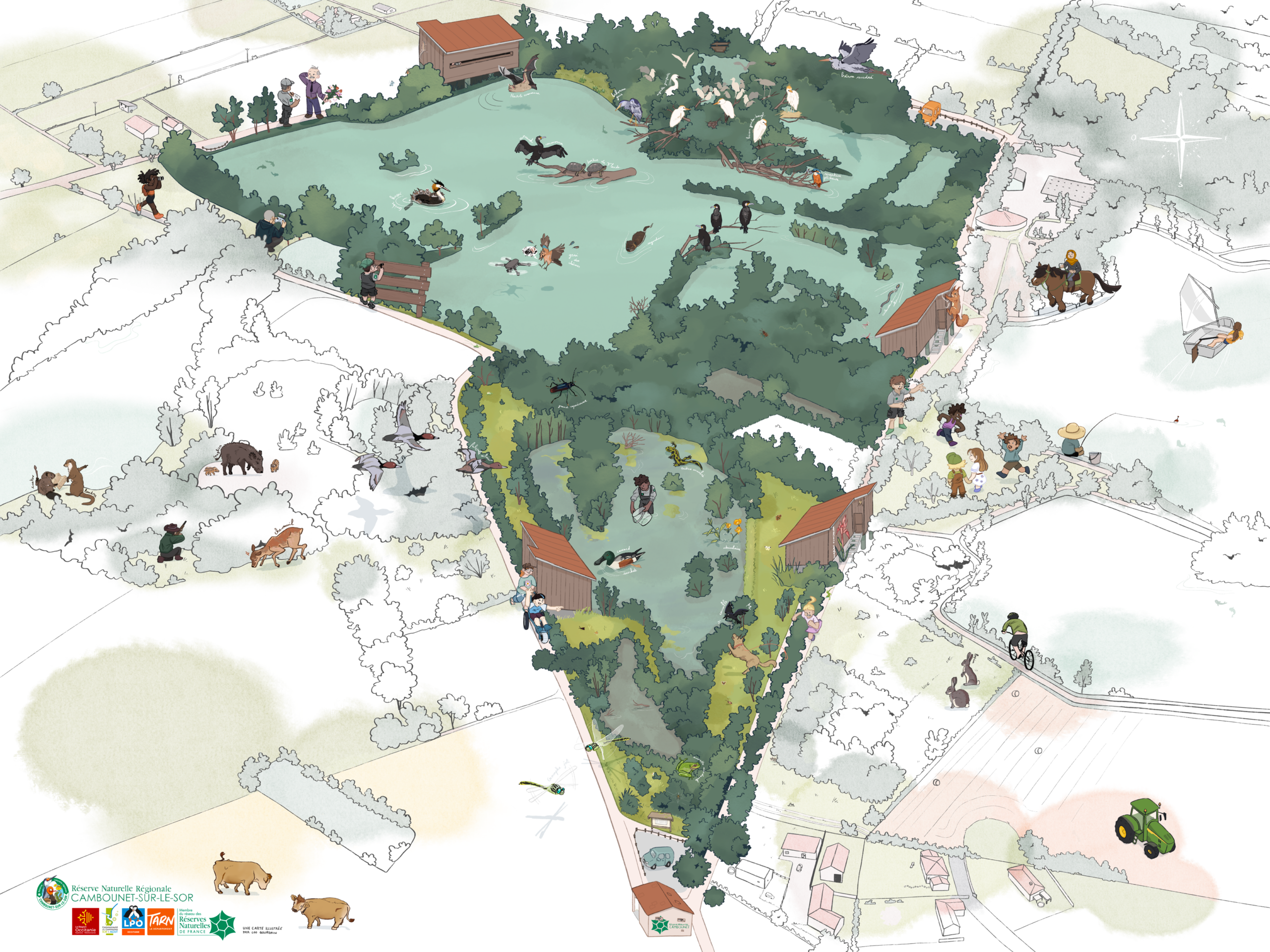 Illustration d'une carte de la réserve naturelle régionale de Cambounet-sur-le-Sor avec une pultitude de petits éléments : biodiversité, utilisateur.ice.s du site, agent.e.s d'entretient...