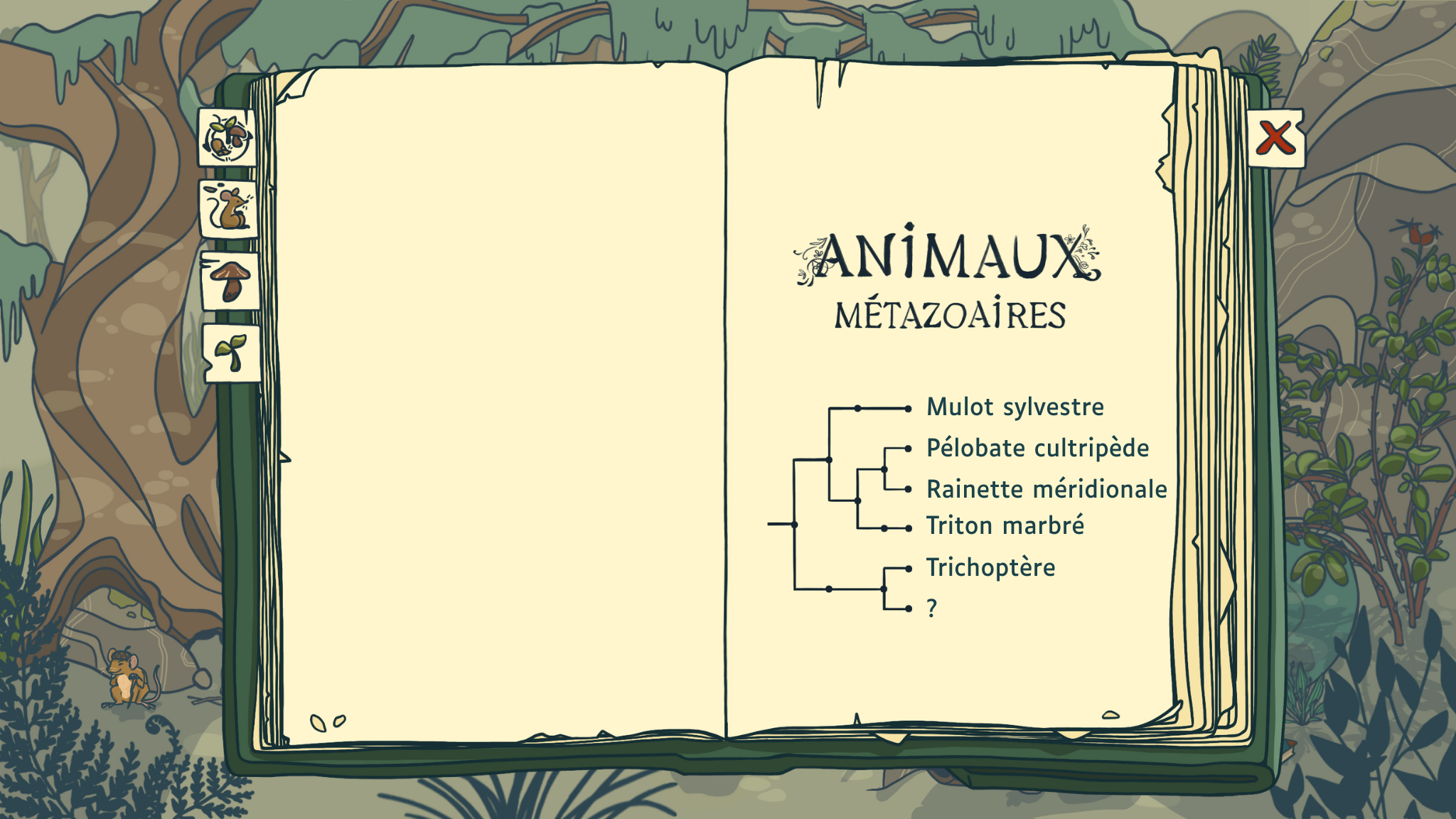 Première page du carnet naturaliste avec la légende des 4 parties du carnet : - Embryophyte - Métazoaire - Eumycète - Ecosystème