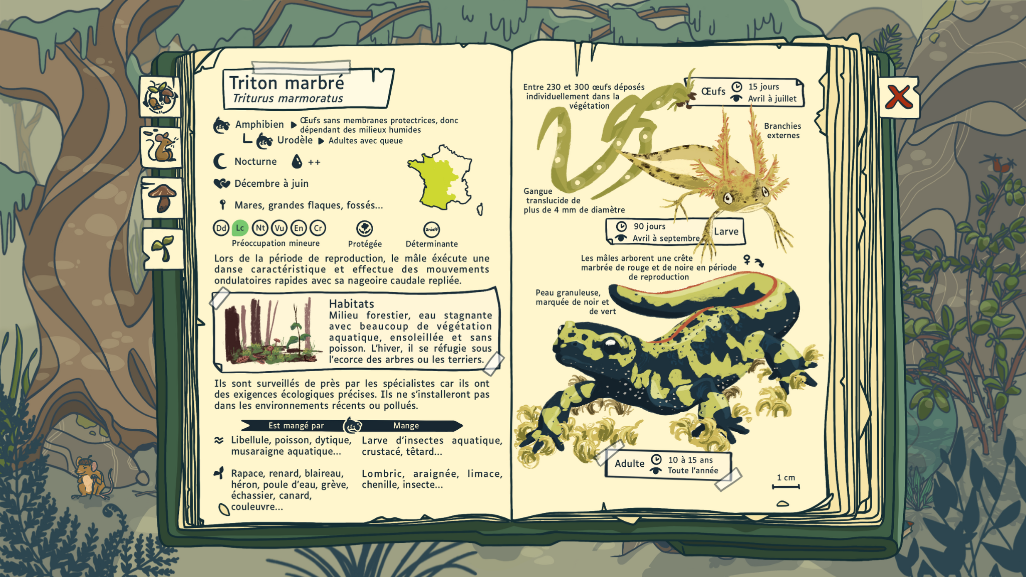 Première page du carnet naturaliste avec la légende des 4 parties du carnet : - Embryophyte - Métazoaire - Eumycète - Ecosystème