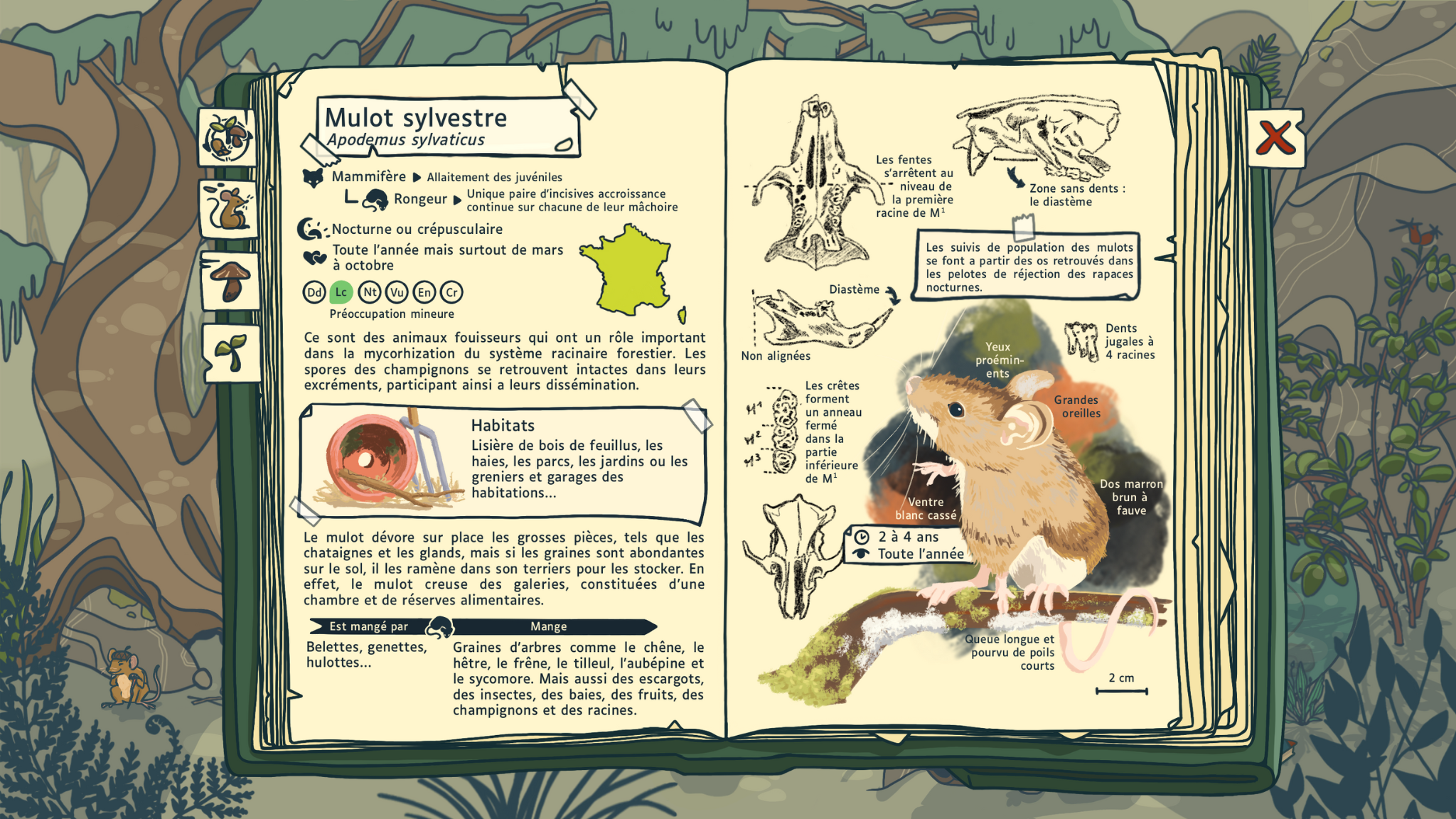 Première page du carnet naturaliste avec la légende des 4 parties du carnet : - Embryophyte - Métazoaire - Eumycète - Ecosystème