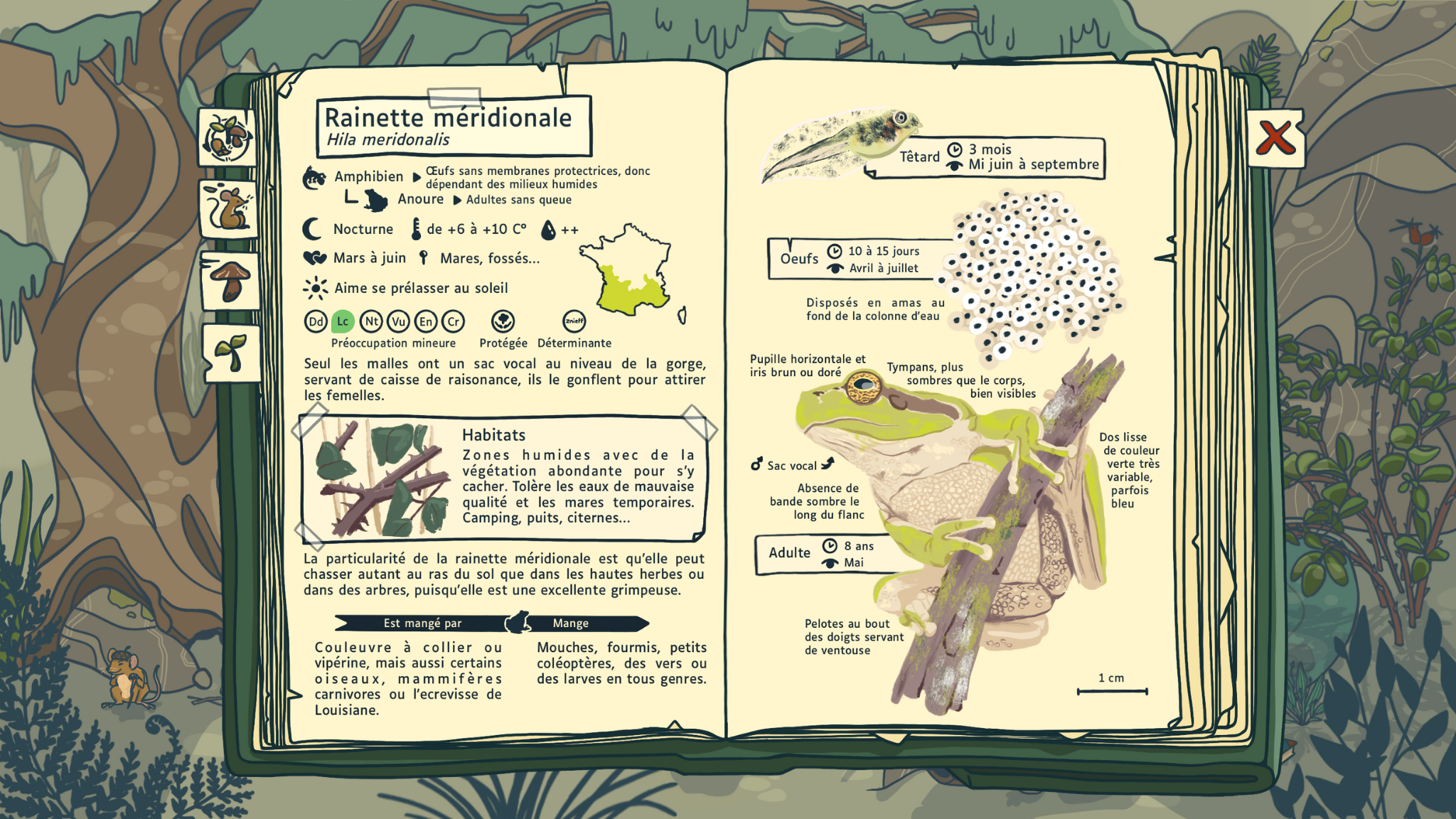 Première page du carnet naturaliste avec la légende des 4 parties du carnet : - Embryophyte - Métazoaire - Eumycète - Ecosystème