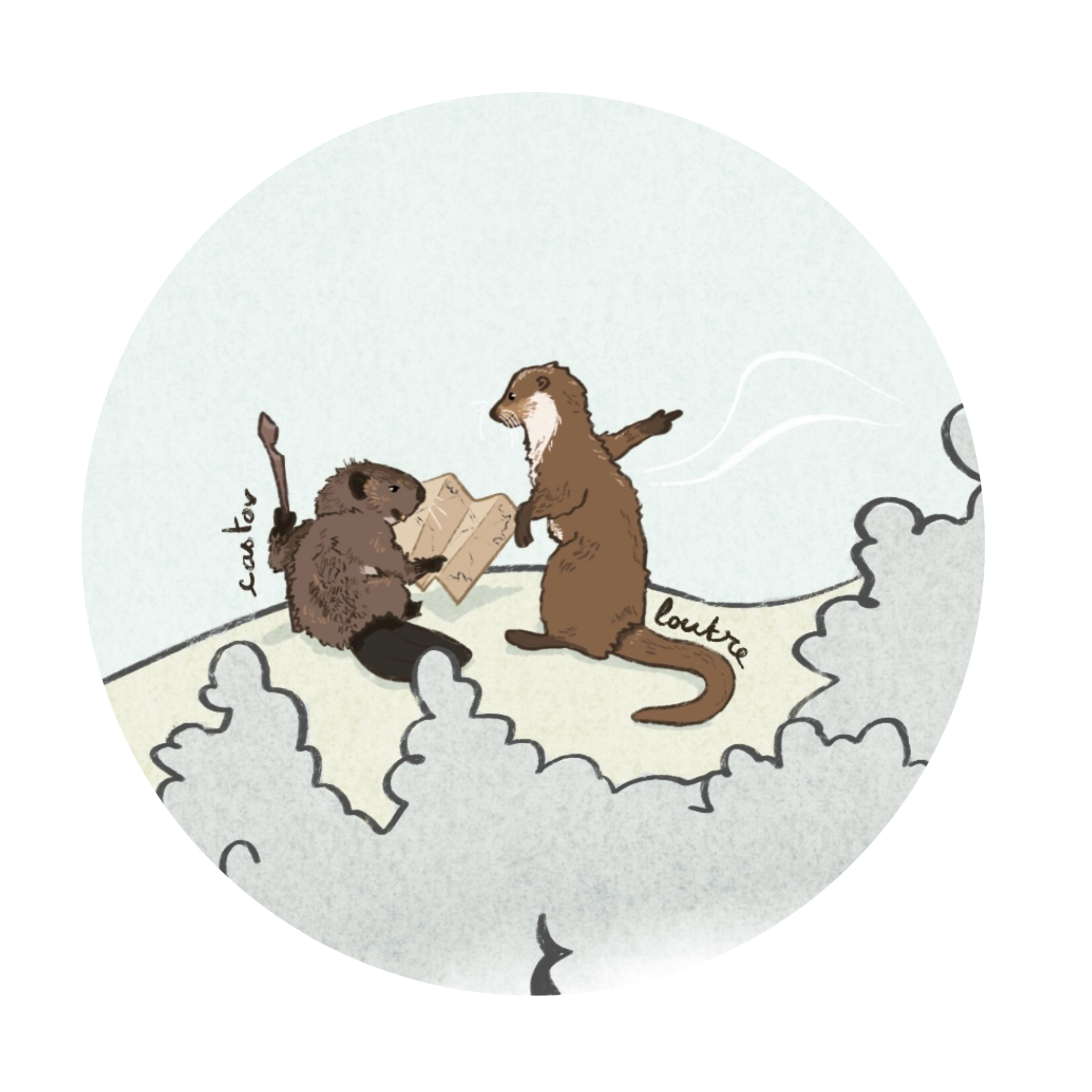 Loutre et castor