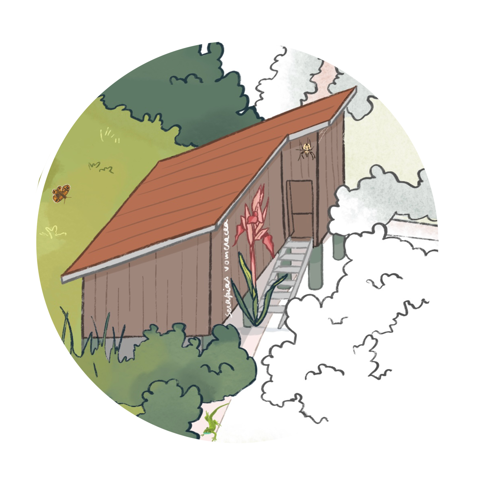 Observatoire en bois tourné vers la réserve