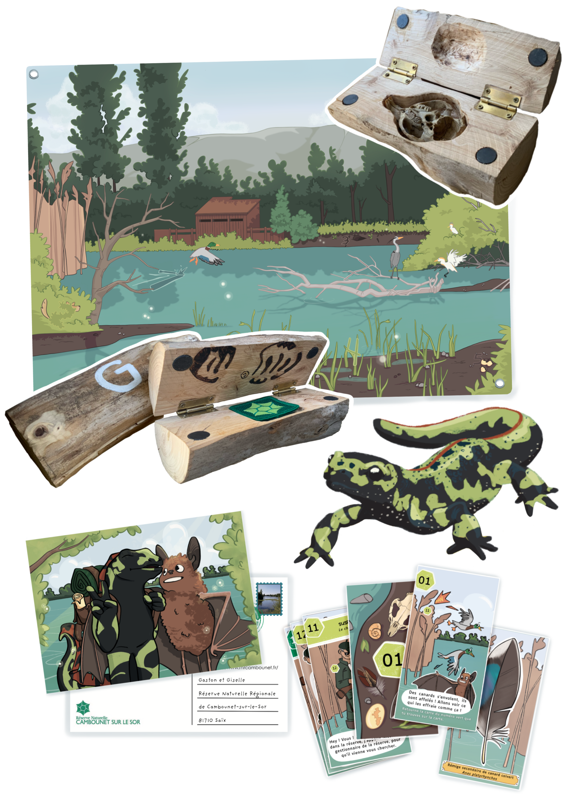 Matériel du jeu "Enquête à la réserve" : - Un paysage de la réserve - Des boites indices - Une illustration de triton marbré - Des cartes - Une carte postale