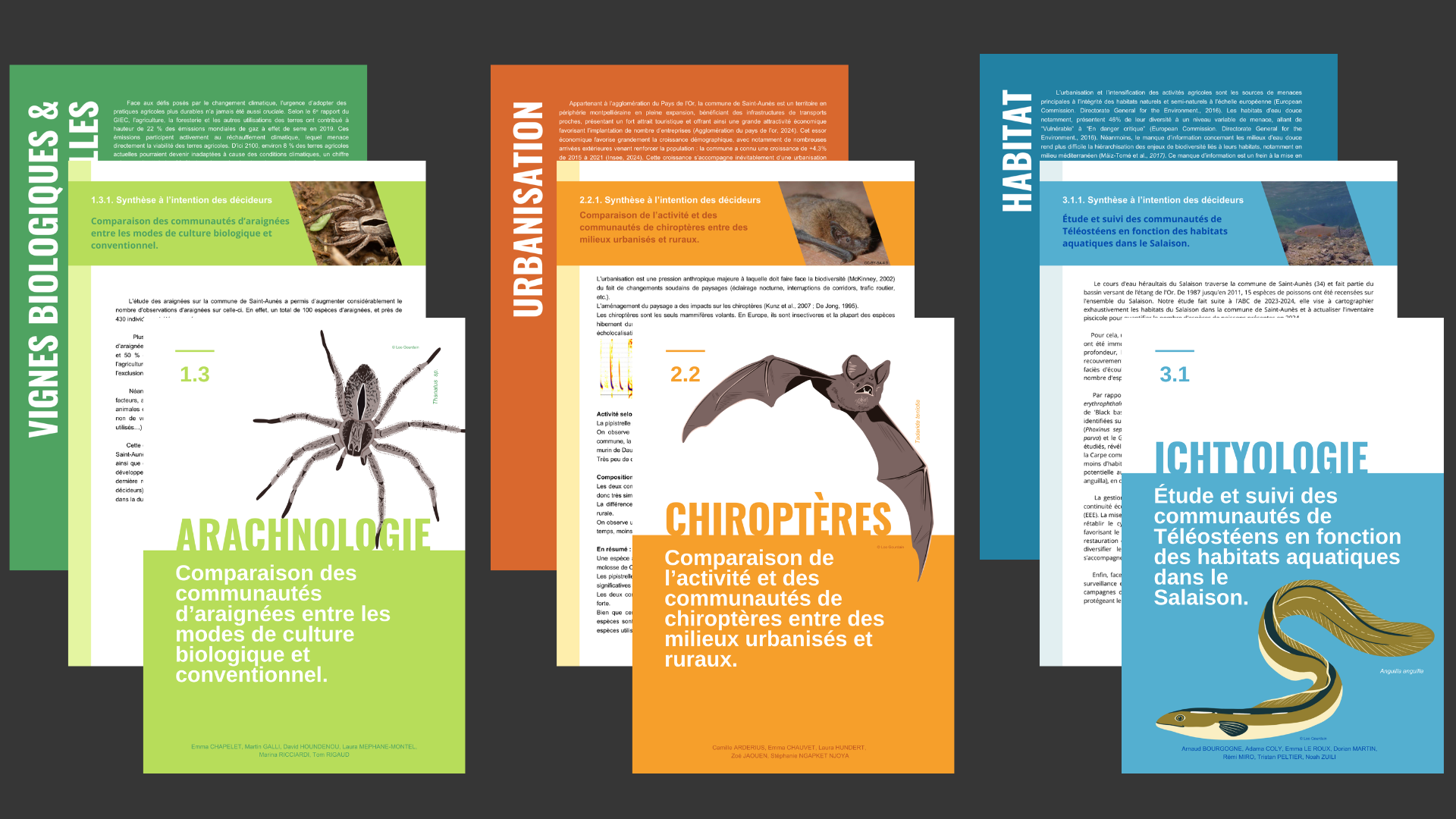 Premières pages des chapitres d'un rapport