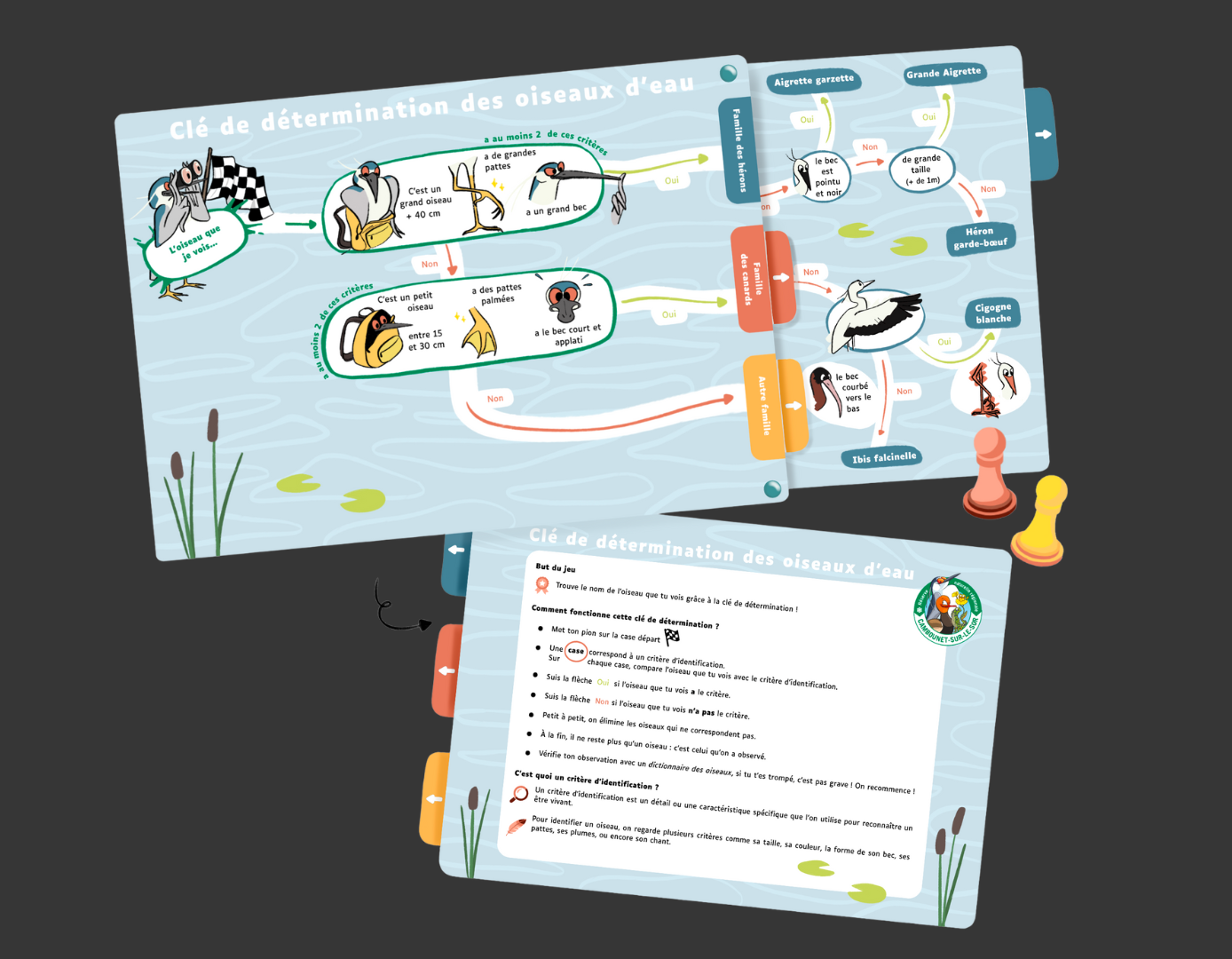 Pages de clé de détermination illustrée des oiseaux d'eau de la réserve