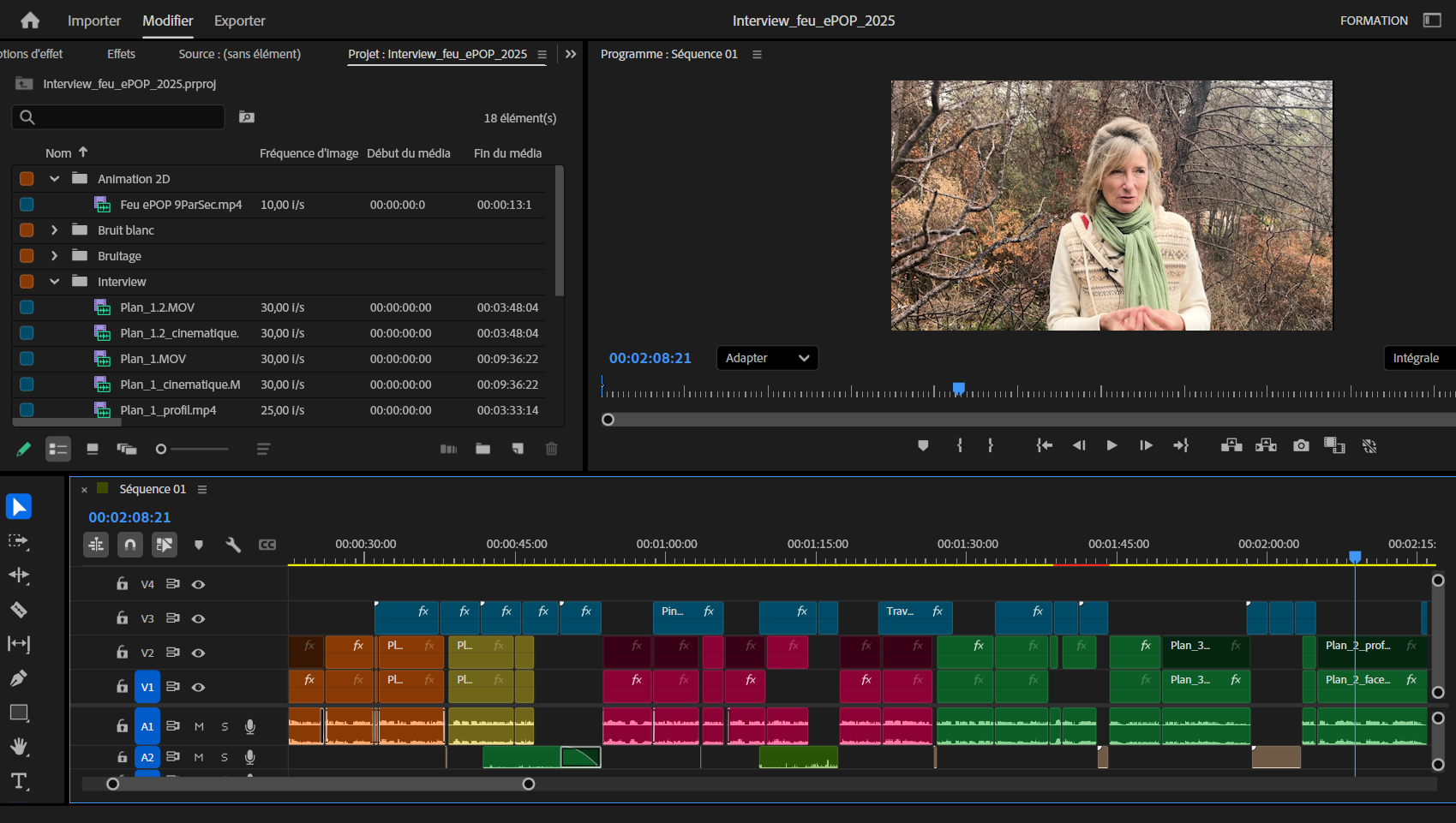 Capture d'écran de Adobe Première Pro