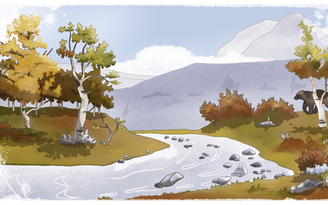 En quête du sauvage